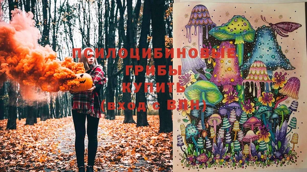 2c-b Балабаново