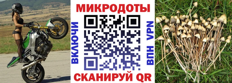 купить наркотики цена  Котельниково  Галлюциногенные грибы MAGIC MUSHROOMS 